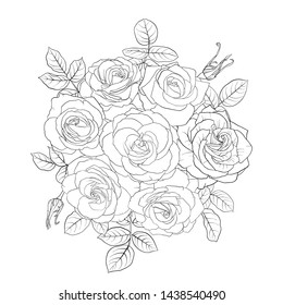 vector drawing flowers and leaves of roses, isolated floral composition, hand drawn botanical illustration