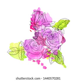 vector drawing flowers and leaves of roses at watercolor spots, isolated floral composition, hand drawn botanical illustration