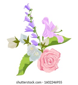 vector drawing flowers of pink roses, lilies and bellflowers, isolated floral elements at white background, hand drawn illustration