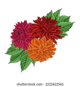 flores de dibujo vectorial de dalia roja y naranja y hojas verdes aisladas en fondo blanco, composición floral, ilustración botánica dibujada a mano