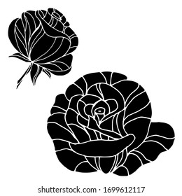 Vector drawing flowers roses. Nature. Sketch, illustration.