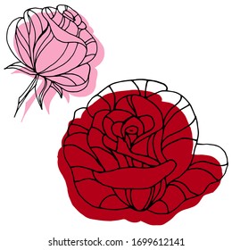 Vector drawing flowers roses. Nature. Sketch, illustration.