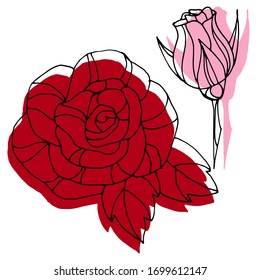 Vector drawing flowers roses. Nature. Sketch, illustration.