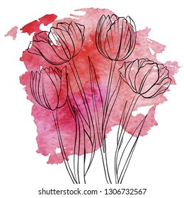 vector drawing flowers of tulips at red watercolor background, floral element, hand drawn illustration
