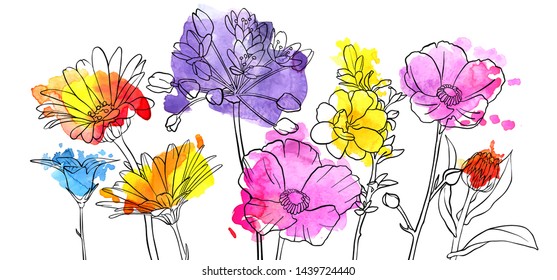 vector drawing flowers with watercolor, floral composition, hand drawn art illustration