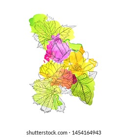 vector drawing flowers with watercolor, floral composition, hand drawn art illustration