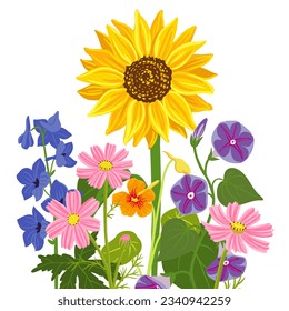 vector drawing flowers at white background, hand drawn botanical illustration