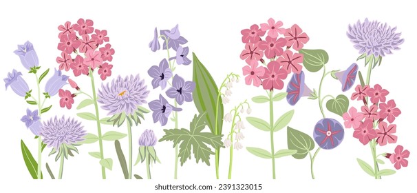 flores de dibujo vectorial en fondo blanco, ilustración botánica dibujada a mano, borde floral