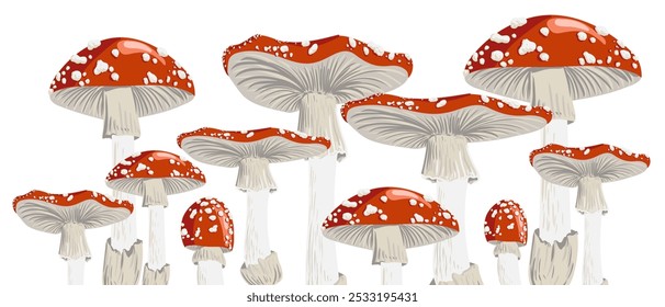 vector drawing fly agaric, poisonus mushroom at white background, Amanita muscaria, natural element, hand drawn botanical illustration