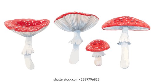 Vector drawing fly agaric, watercolor mushrooms