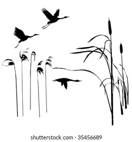 vector drawing flying birds