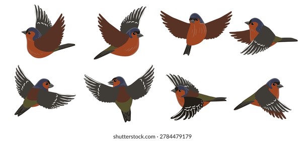 vector drawing flying birds, Eurasian chaffinch, hand drawn illustration, isolated nature design elements