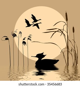 vector drawing flying birds on background sun