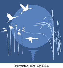 vector drawing flying birds on background sun