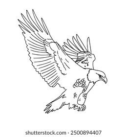 Vector drawing of a flying eagle. Linear drawing of a bird of prey in flight.