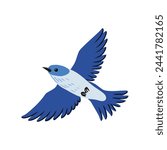 vector drawing flying mountain bluebird, hand drawn Sialia currucoides, isolated nature design element