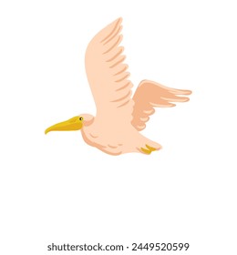 vector drawing flying pelican, wild bird isolated at white background, hand drawn illustration