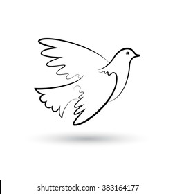 Vector drawing of flying pigeon on white background.