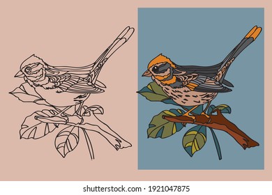 vector drawing of a forest bird sitting on a tree branch