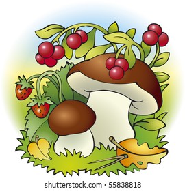 Vector drawing. Forest harvest of mushrooms, strawberries and cranberries