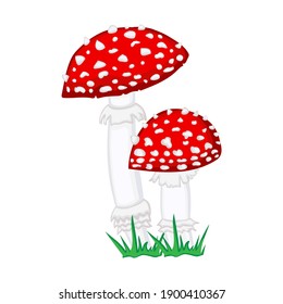 Vector drawing of a forest mushroom on a white isolated background in a flat style, cartoon. Autumn bright beautiful mushroom, cards, stickers, T-shirts.