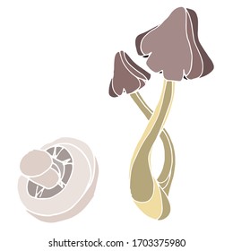 
Vector drawing of forest mushrooms. Nature. Sketch, illustration. Decorative