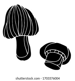 
Vector drawing of forest mushrooms. Nature. Sketch, illustration. Decorative