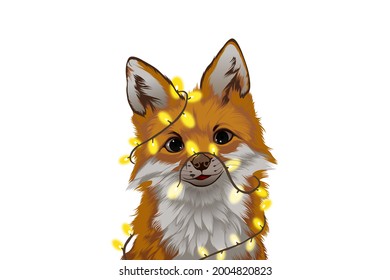 vector drawing of a fox