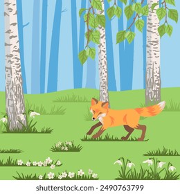 vector drawing fox in birch grove, hand drawn animal at green forest with trees and flowers background , cartoon style character