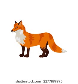 vector drawing fox, hand drawn animal isolated at white background , cartoon style character