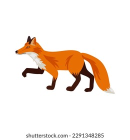 vector drawing fox, hand drawn animal isolated at white background , cartoon style character