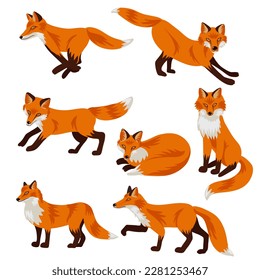 vector drawing foxes  hand drawn animals isolated at white background   cartoon style characters