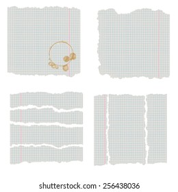 vector drawing fragments of a school notebook