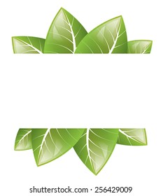Vector drawing. Frame of green leaves on a white background