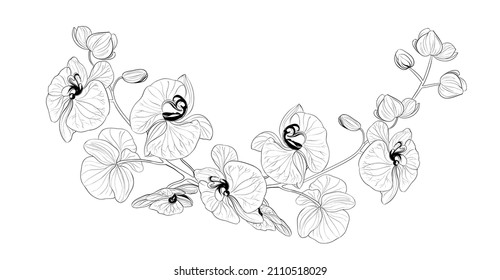 Vector drawing of a frame from orchid branches on a black and white background.
