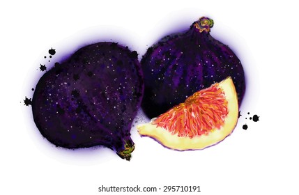 vector drawing fresh figs painted colors