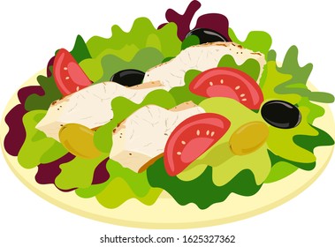 Vector drawing of fresh spring vitamin salad on a flat plate with lettuce, slices of tomato, olives and sliced steak, white meat