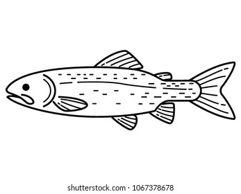 Vector drawing of a Fresh Water Fish
