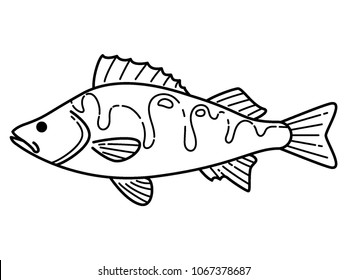 Vector drawing of a Fresh Water Fish
