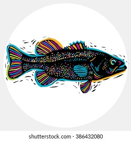 Vector drawing of freshwater fish with fins, underwater life illustration. Organic seafood graphic symbol isolated on white.