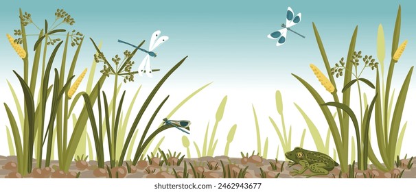 vector drawing frog, dragonflies and marsh plants , natural background,hand drawn illustration