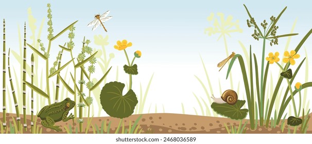 vector drawing frog, dragonflies and marsh plants , natural background,hand drawn illustration