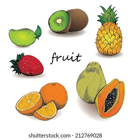 Vector drawing fruits
