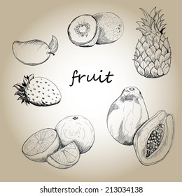 Vector Drawing Fruits Stock Vector (Royalty Free) 213034138 | Shutterstock