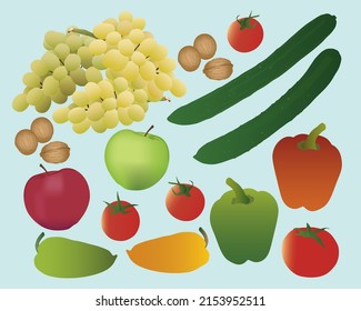 Vector drawing of fruits and vegetables.