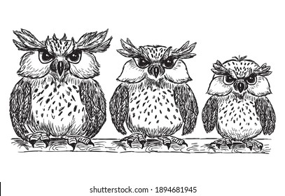 Dibujo vectorial de una divertida familia de búhos de caricatura