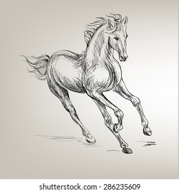 Vector drawing of a galloping horse