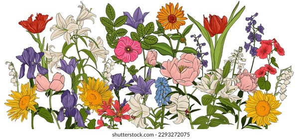 dibujo vectorial flores de jardín de fondo blanco, ilustración botánica dibujada a mano