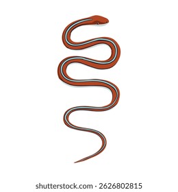 vector drawing garter snake isolated at white background, hand drawn illustration