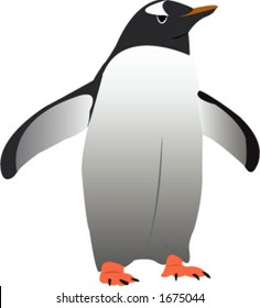 A vector drawing of a gentoo penguin.